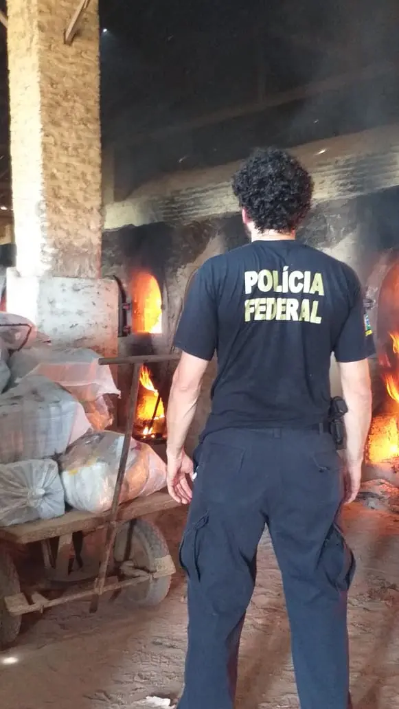 Esta é uma imagem.