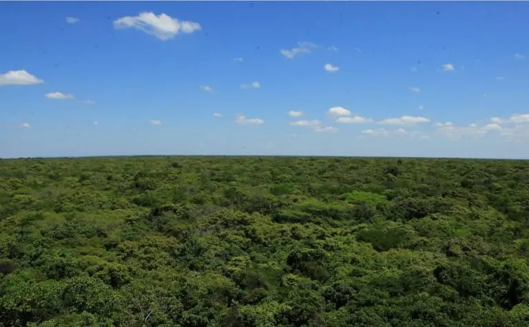 Floresta Nacional do Araripe