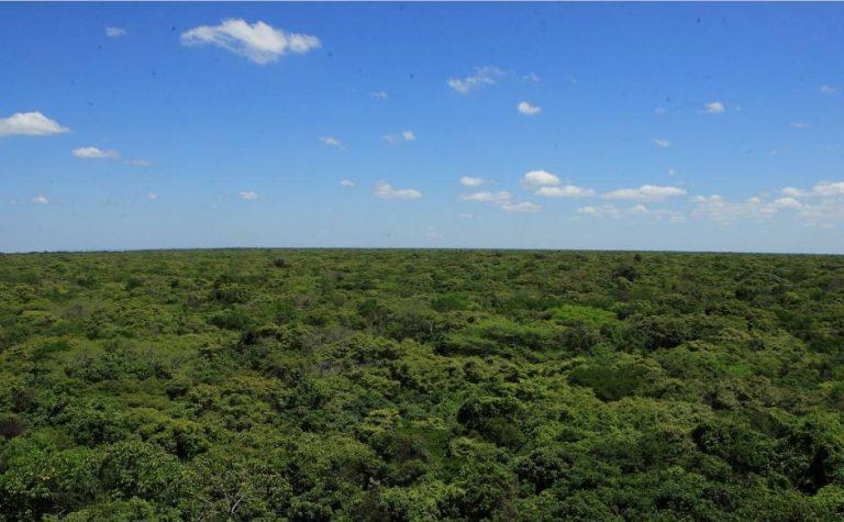 Floresta Nacional do Araripe