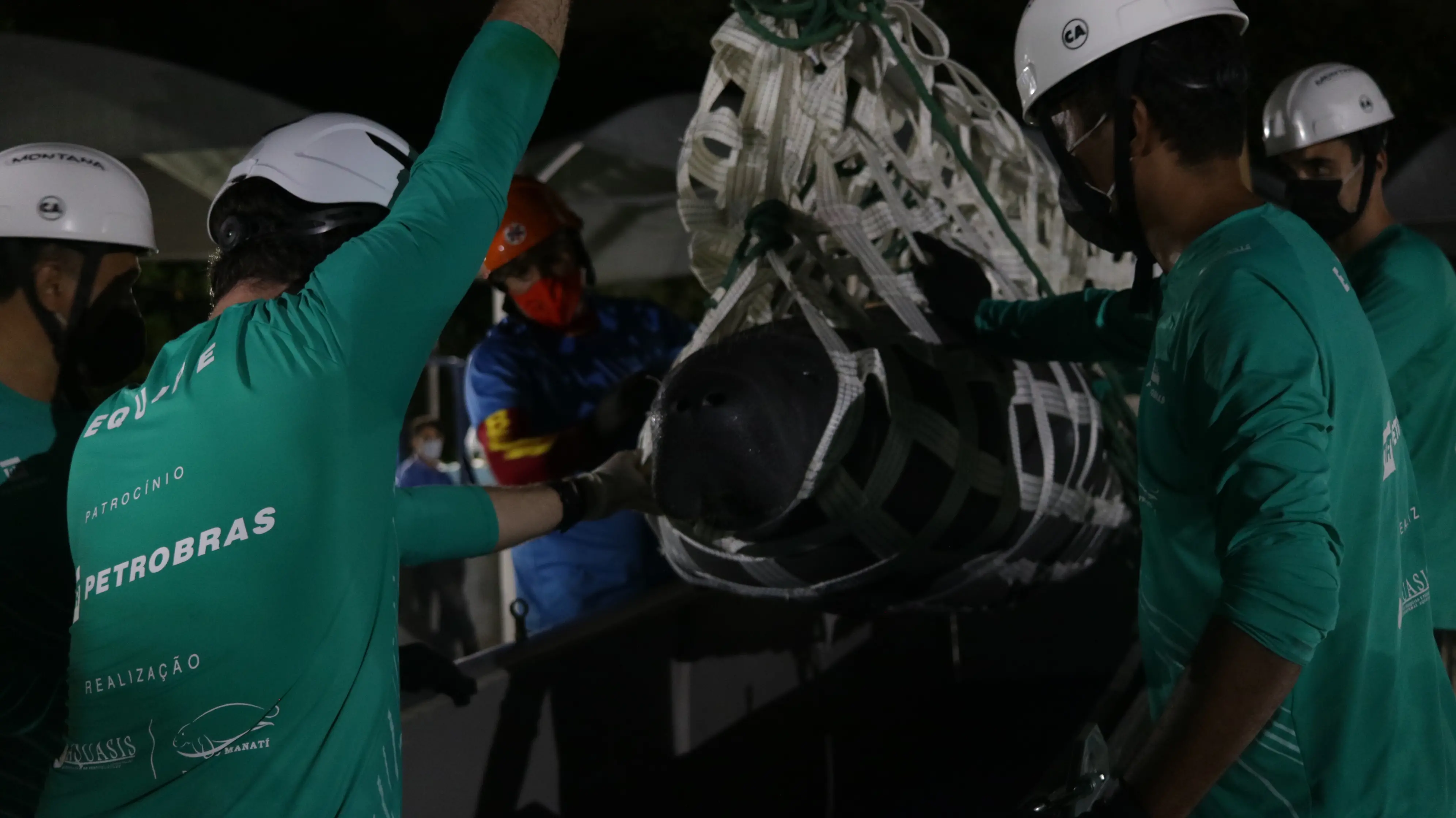 Com todo cuidado, animais fora transferido do Sesc Iparana para um tanque feito especificamente para eles