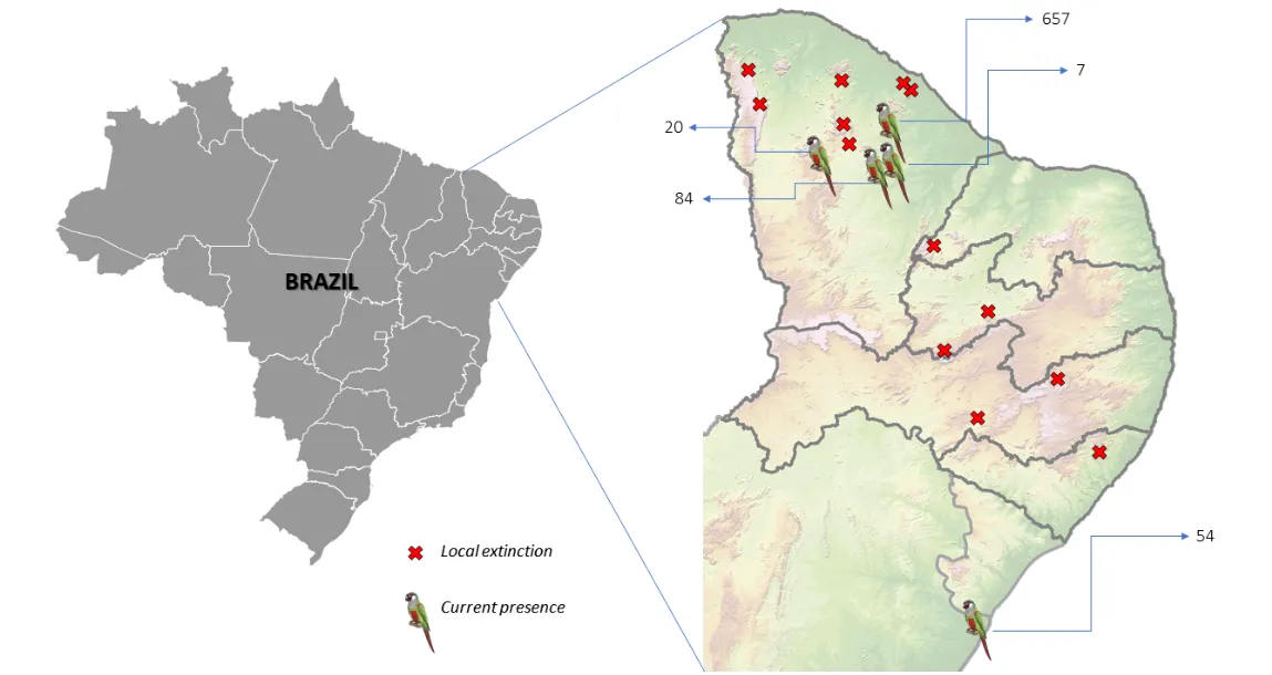 Presença do Cara-suja no Brasil. As informações são do último censo da espécie, realizado em 2019.
