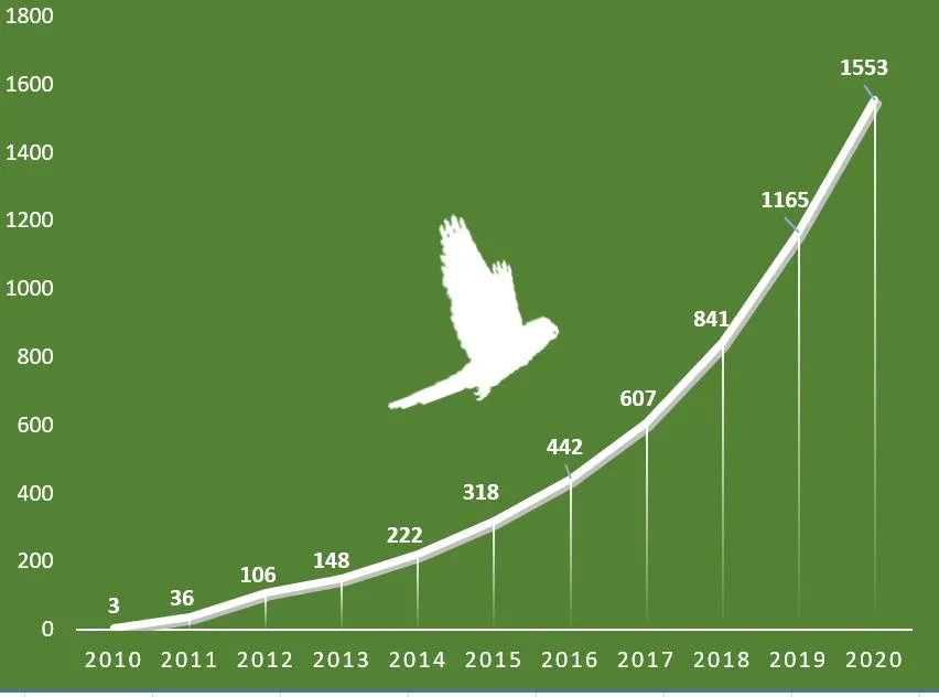 Em 10 anos, mais de 1.500 periquitos voaram de caixas-ninho instaladas na Serra de Baturité para reprodução da espécie. A marca histórica foi alcançada em maio deste ano.