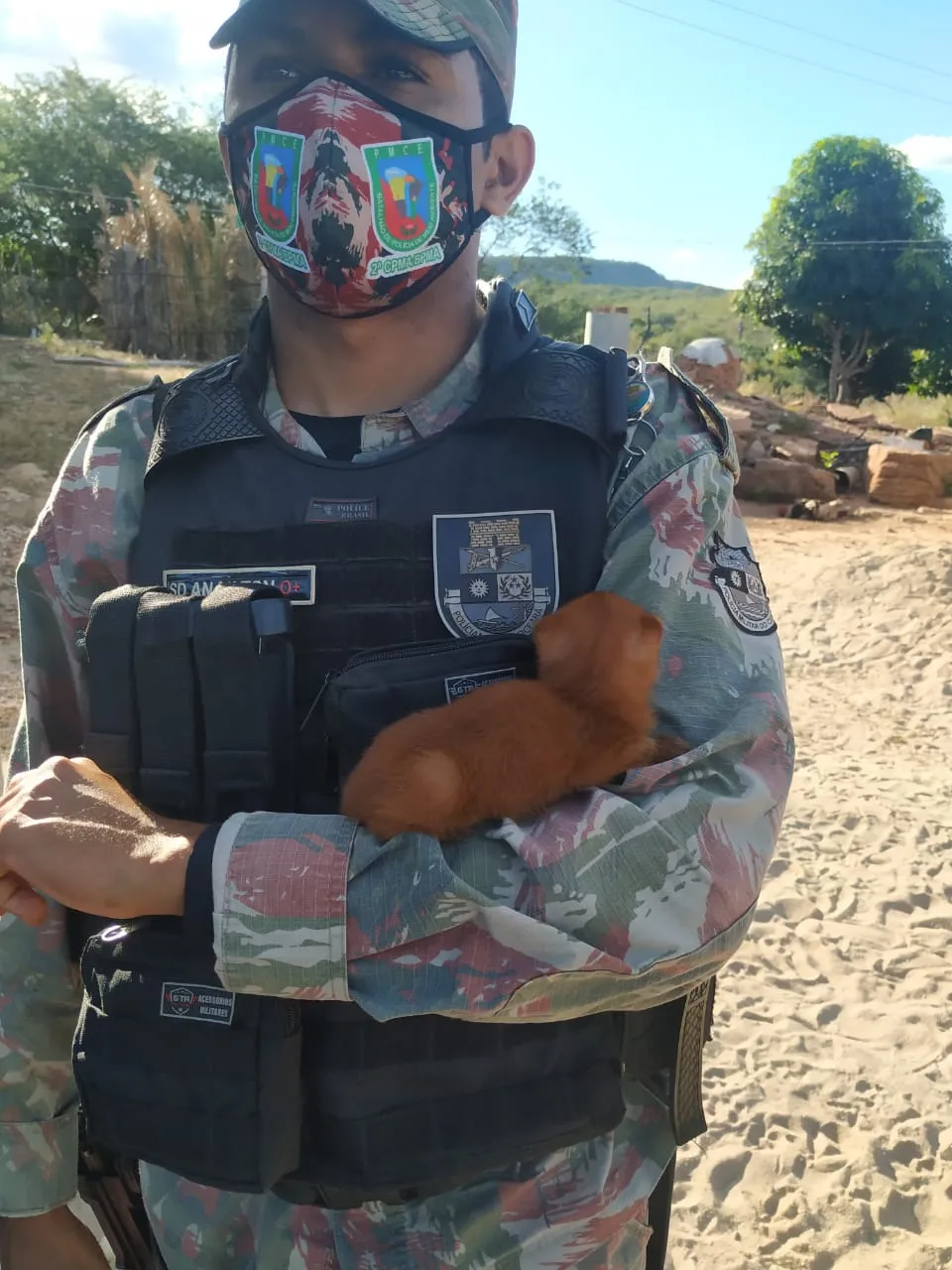 O animal foi encontrado por um agricultor na zona rural de Milagres, região do Cariri