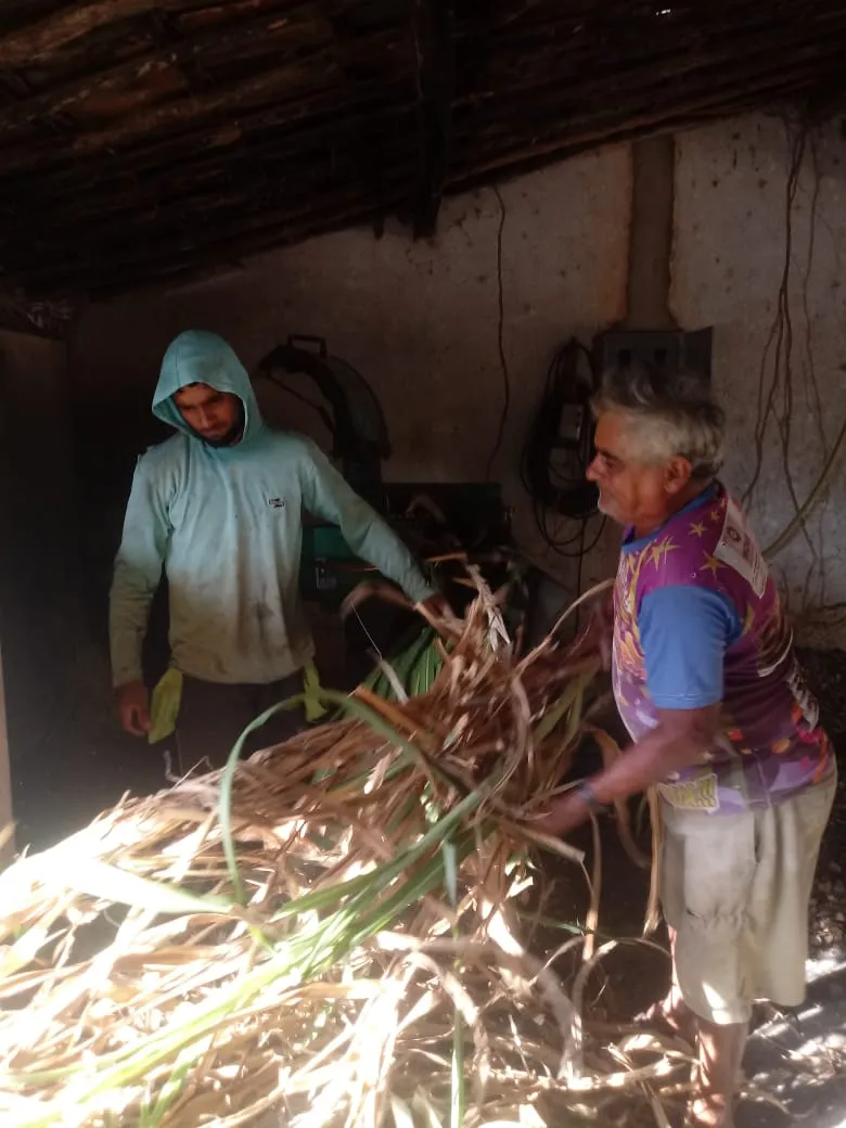 Seu Edmundo e seu filho, Pablo, trabalham na produção leiteira em Santana do Acaraú.