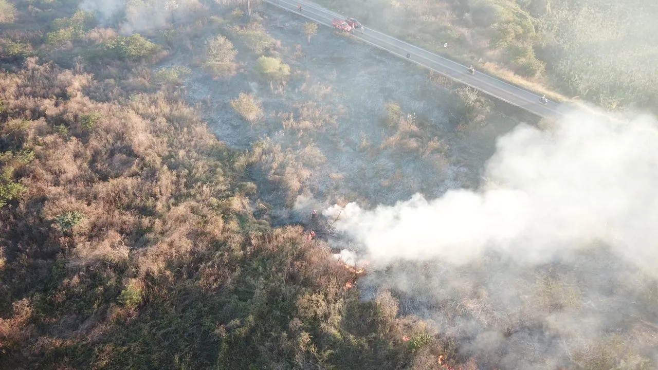 O interior do Estado é mais propenso às ocorrências de incêndios florestais. Em 2019, o maior número de registros aconteceu em Iguatu, Sobral, Crateús, Juazeiro do Norte e Crato .