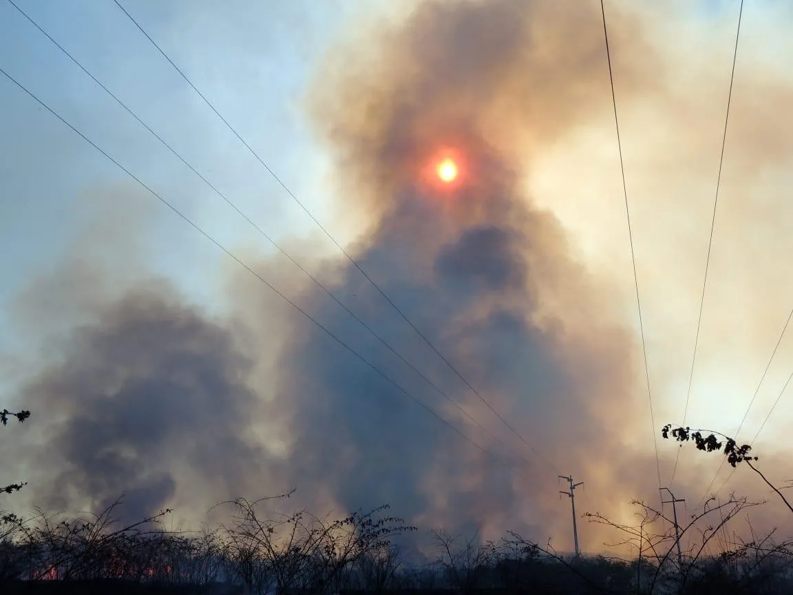 O mês de julho concentrou o maior número de focos de incêndio desde 2016, segundo o Inpe.