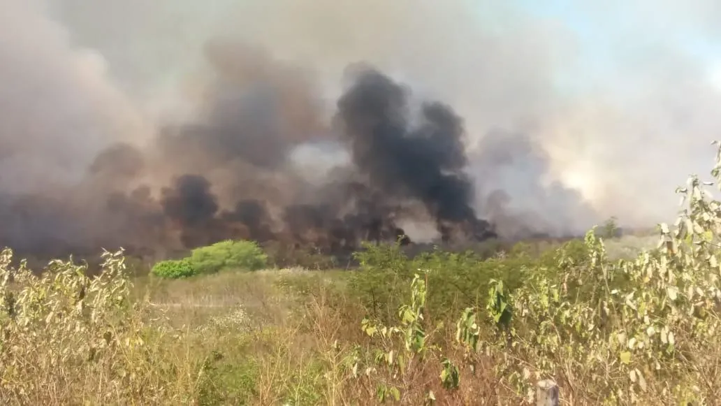 Fogo se espalha por vegetação na zona rual de Santa Quitéria