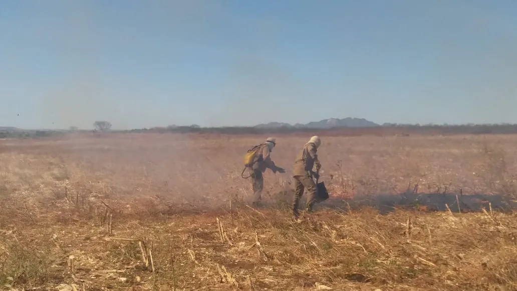 O fogo atingiu cerca de 80 ha, segundo o 4º Batalha do Corpo de Bombeiros de Iguatu.