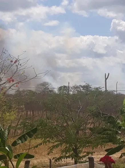 Fogo na vegetação em Santa Quitéria