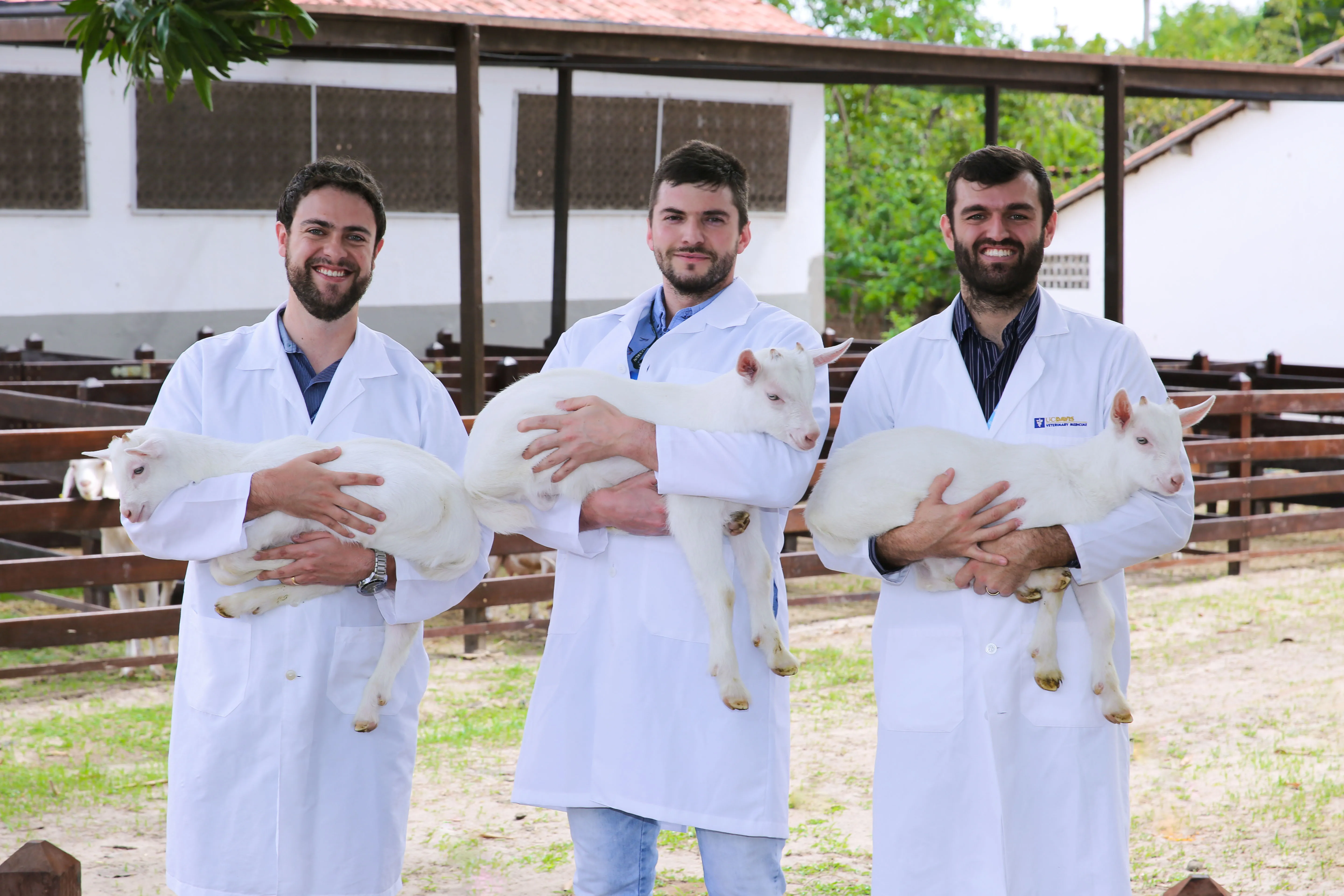 O projeto é coordenado pelos pesquisadores Kaio Tavares, Leonardo Tondello Martins e Saul Gaudencio Neto.