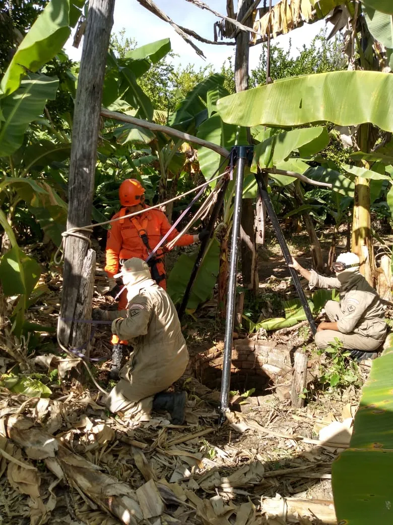 O Corpo de Bombeiros precisou utilizar alguns equipamentos para realizar a retirada do animal.