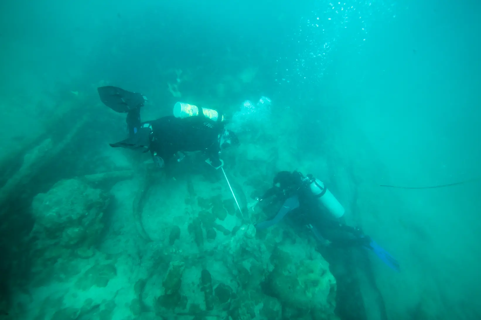 Em torno do naufrágio concentra-se uma diversidade de peixes, visto ter se tornado um nicho para a fauna marinha. Durante o mergulho, observamos pelo menos três tubarões medindo cerca de 1,5 metro, cada