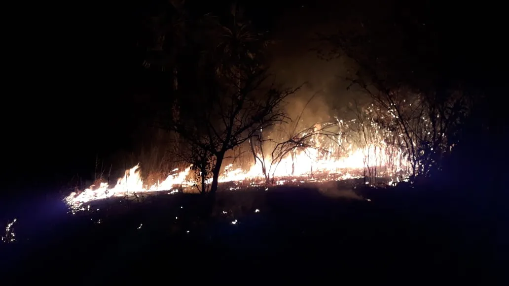 Em Sobral, o fogo consumiu cerca de 213 hectares de mata nativa.