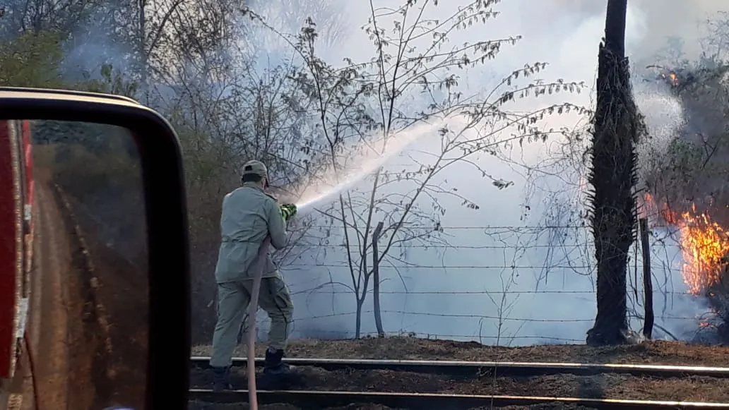 No fim de semana, a Guarnição de Itapipoca atendeu ocorrência de incêndio florestal no assentamento da Enxada, município de Amontada.