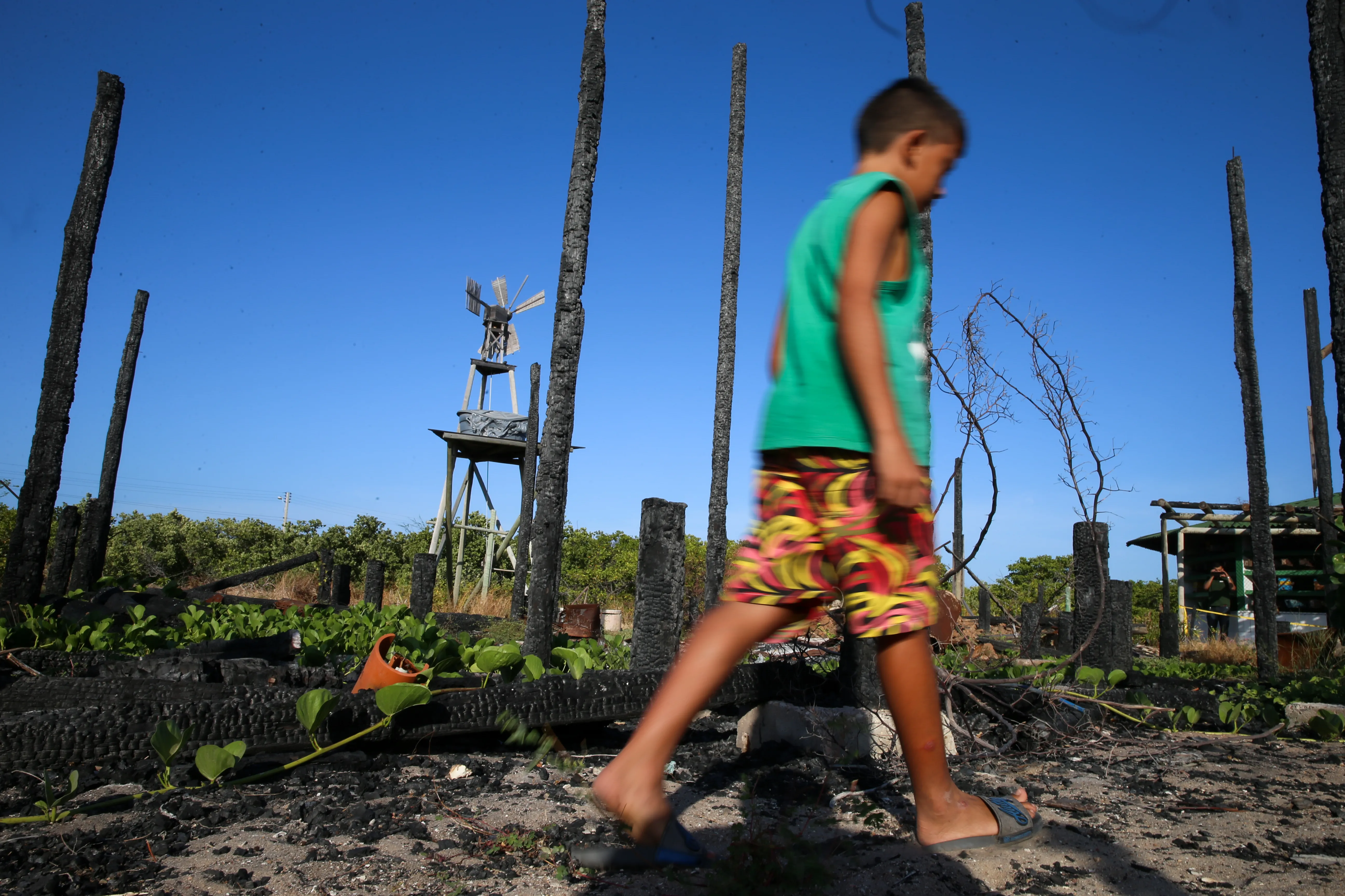O fogo destruiu auditório, equipamentos eletrônicos e materiais científicos