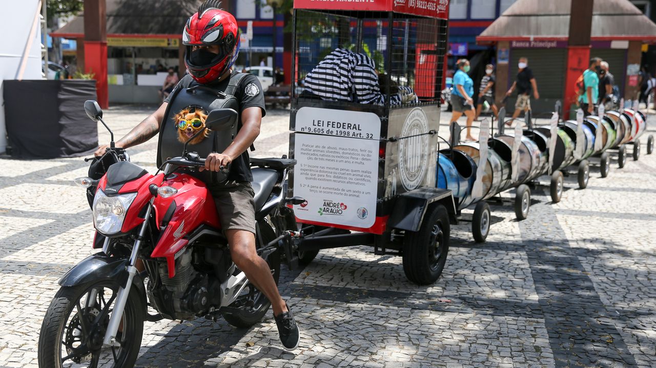 ONG monta trem para cuidar de cachorros de rua e orientar sobre maus-tratos na Praça do Ferreira.