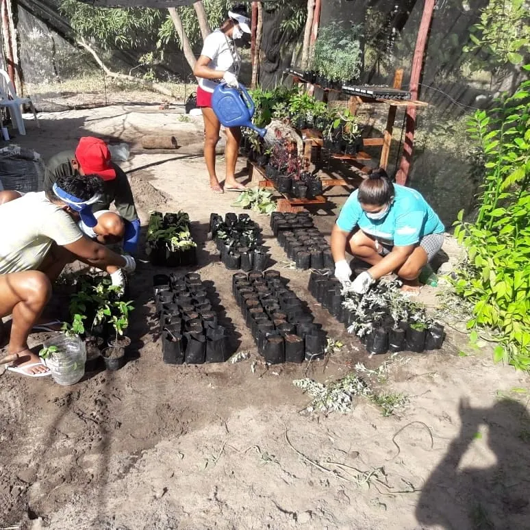 Foram fortalecidos 15 quintais produtivos com a entrega de ferramentas agrícolas, sementes crioulas e mudas de frutíferas, hortaliças e medicinais.