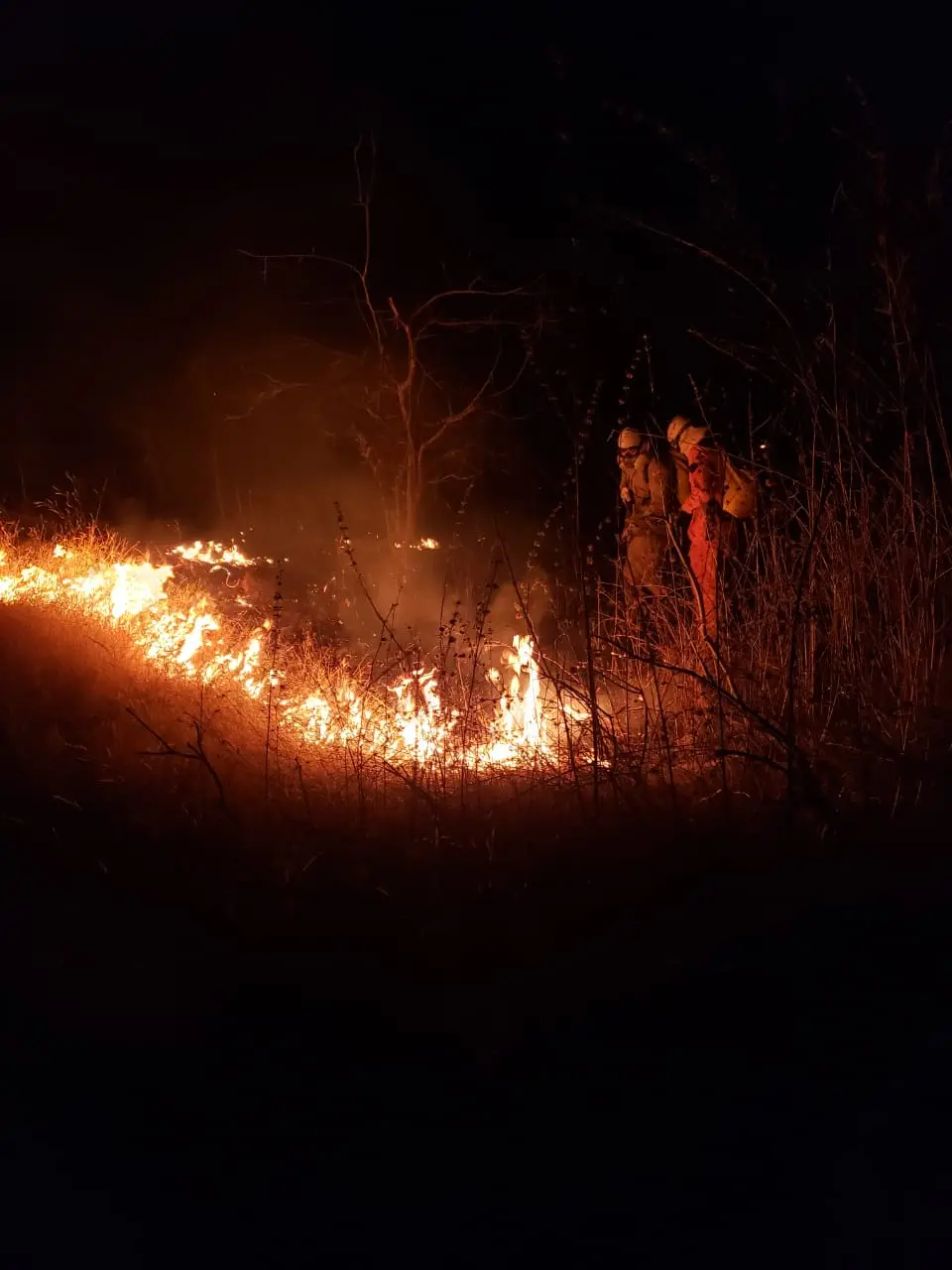 Bombeiros combatendo fogo
