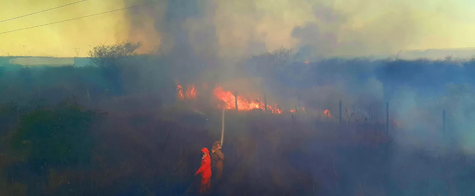 Neste domingo, foram 15 ocorrências, sendo três de grandes proporções. Em algumas, o Corpo de Bombeiros disse que o fogo chegou próximo de residências.