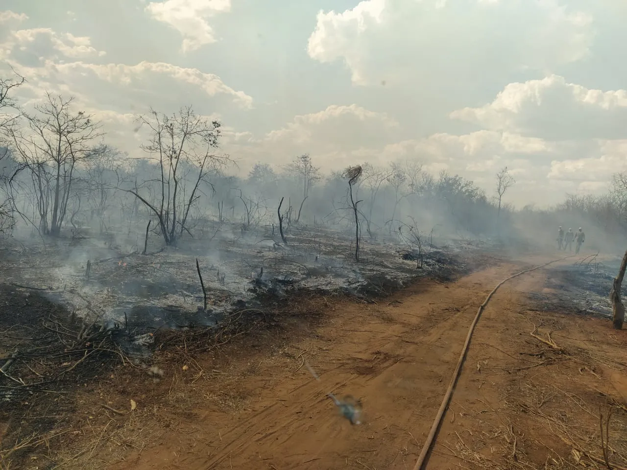 O fogo foi feito em um 'aceiro', usado para limpeza de terreno para plantio ou outros fins.