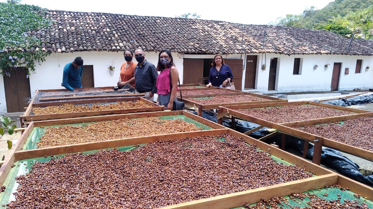 Maciço do Baturité ganhará Centro Internacional do Café de