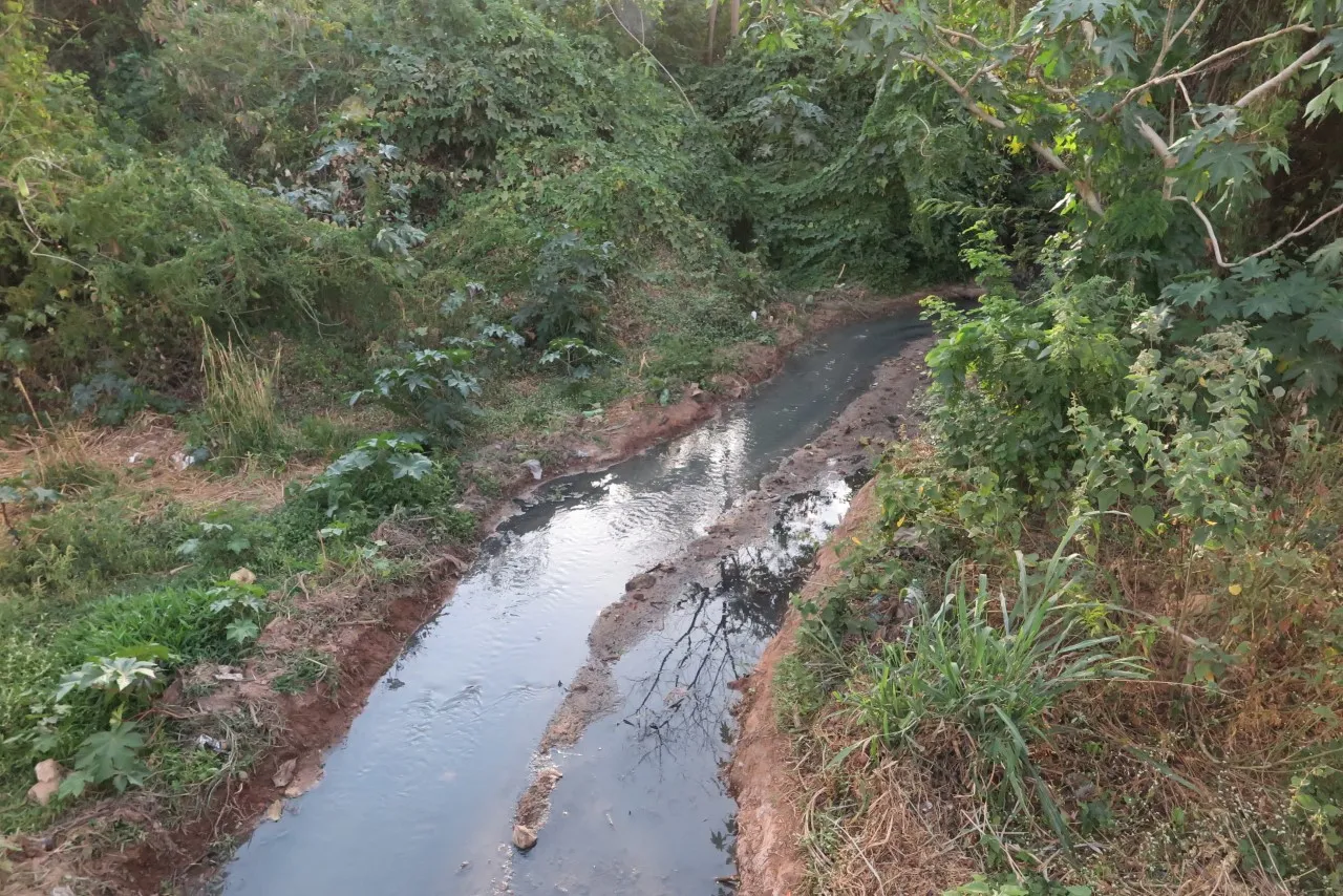 Todos os esgotos que cortam o local serão condensados para ser devolvidos a natureza apenas o resíduo tratado