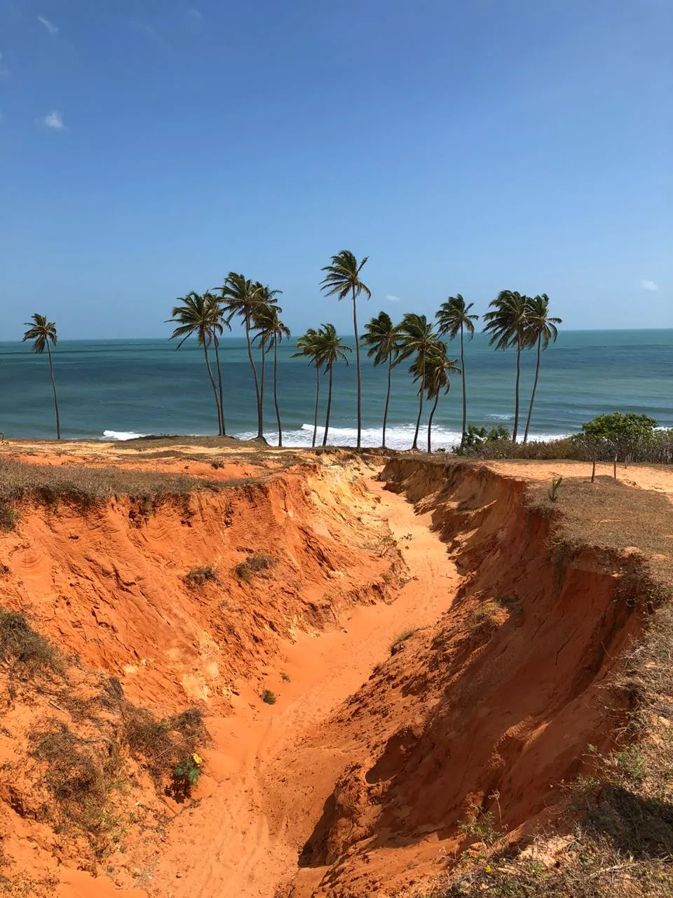 As voçorocas são um fenômeno geológico de formação de grandes buracos de erosão causados pela água da chuva.