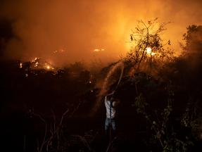 Homem voluntário tenta ajudar a combater chamas no Pantanal