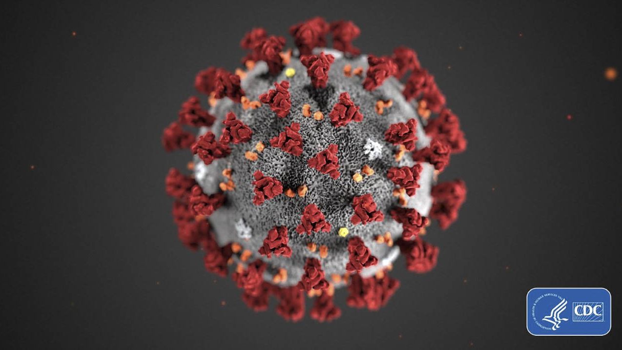 Esta é uma imagem do coronavirus