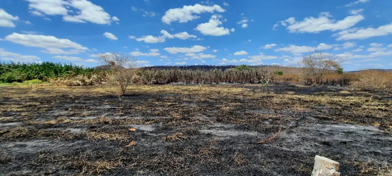 Fogo destruiu tudo na fazenda