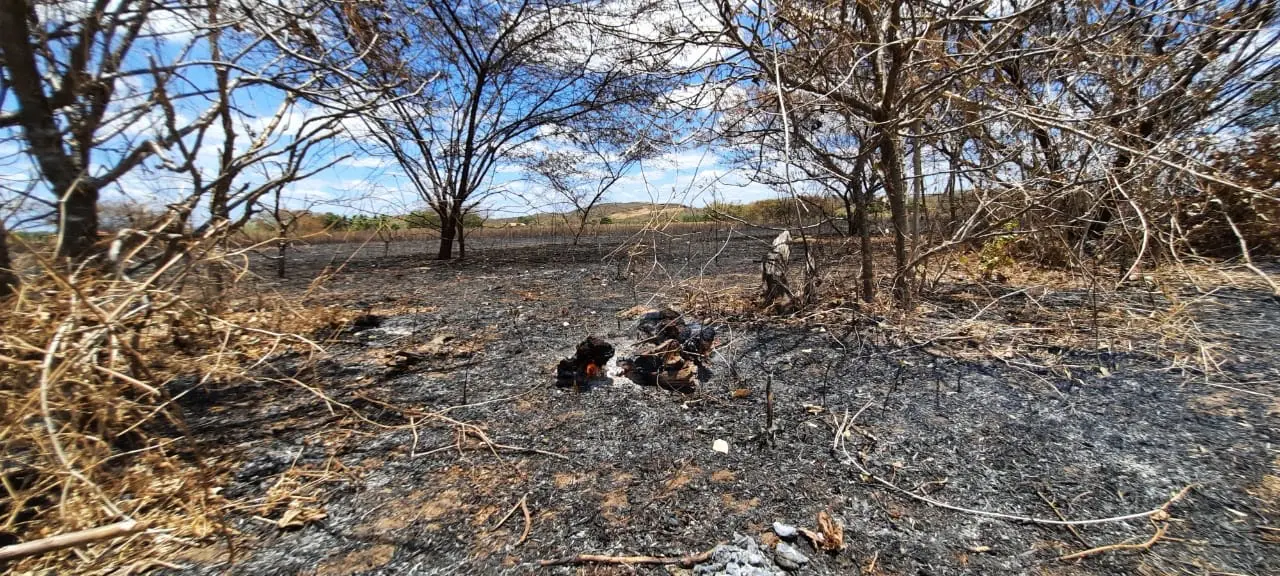 Fogo chegou muito rápido, segundo agricultores