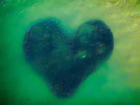 'Love Heart of Nature