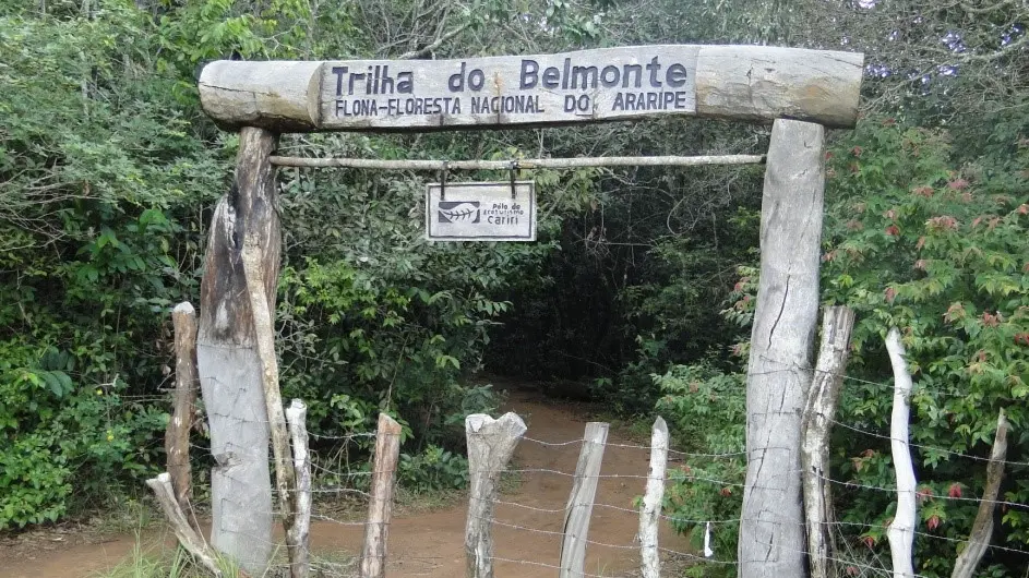 capa da noticia