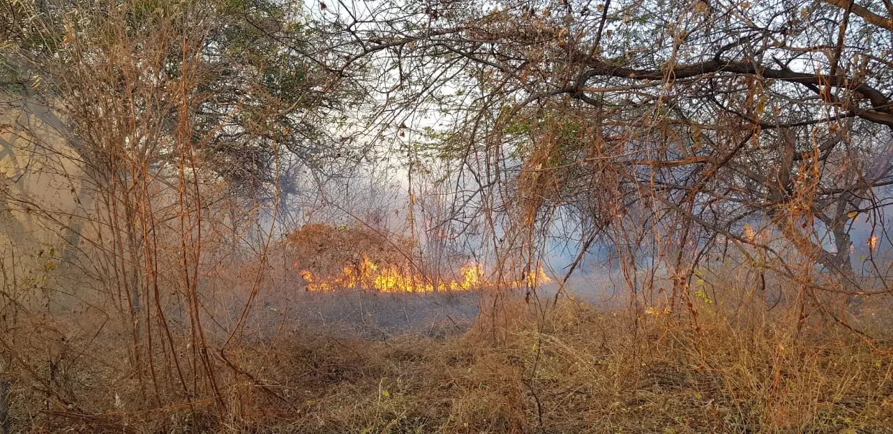 Levantamento realizado pelo Sistema de Monitoramento e Alerta da Enel e pelos Bombeiros Militares mostram aumento das ocorrências