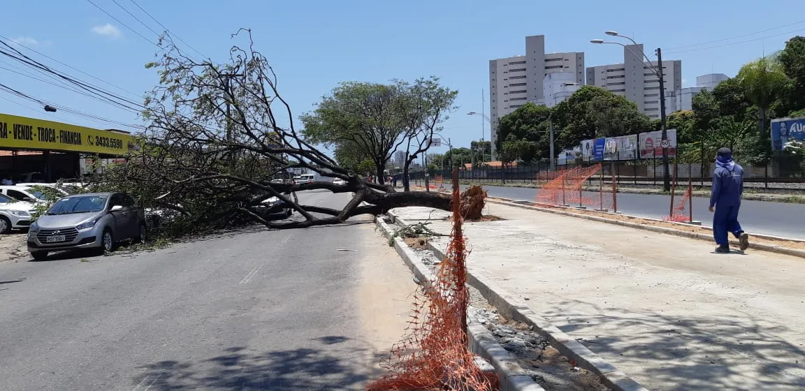 Local onde árvore caiu sobre três veículos na Avenida José Bastos, em Fortaleza, está em obras.