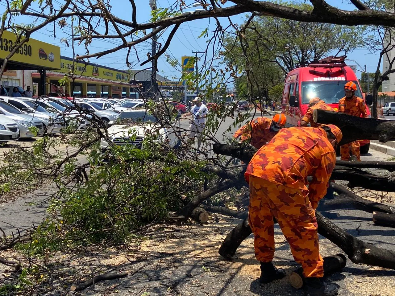 Árvore caiu sobre três veículos na Avenida José Bastos, em Fortaleza.
