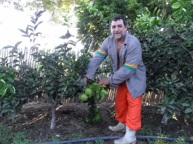 Após os resultados positivos, a proposta agora é expandir a produção, que teve alta demanda na pandemia