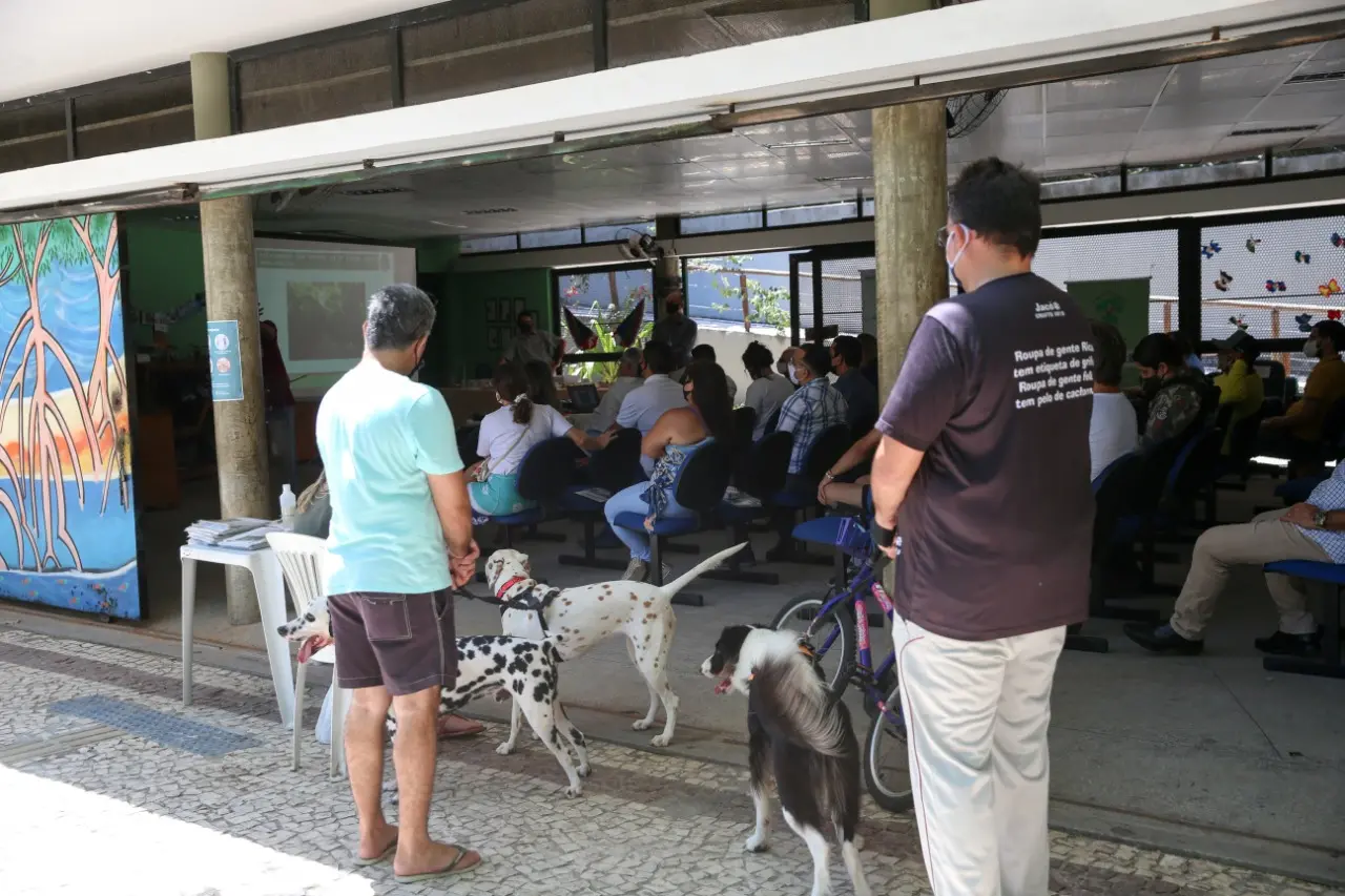 Cachorros no Parque do Cocó