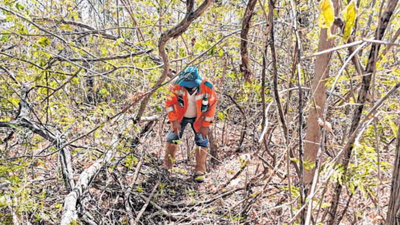 A Unidade de Conservação (UC) foi criada em 2008 e possui uma área com representativa dos biomas Caatinga e Cerrado.