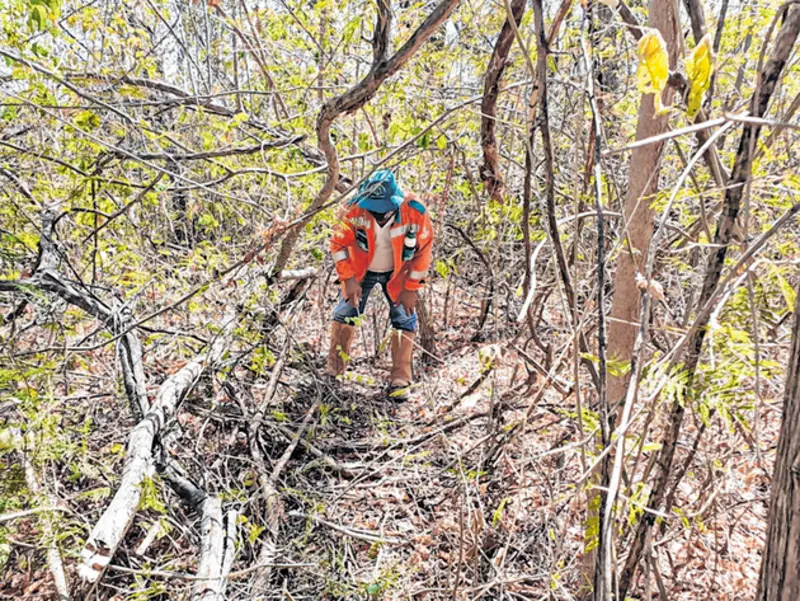 A Unidade de Conservação (UC) foi criada em 2008 e possui uma área com representativa dos biomas Caatinga e Cerrado.