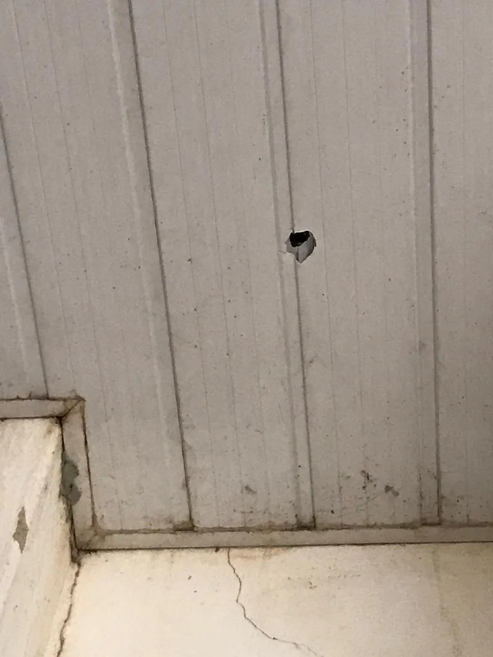 Moradora é atingida por bala perdida dentro de casa no Bairro Mondubim