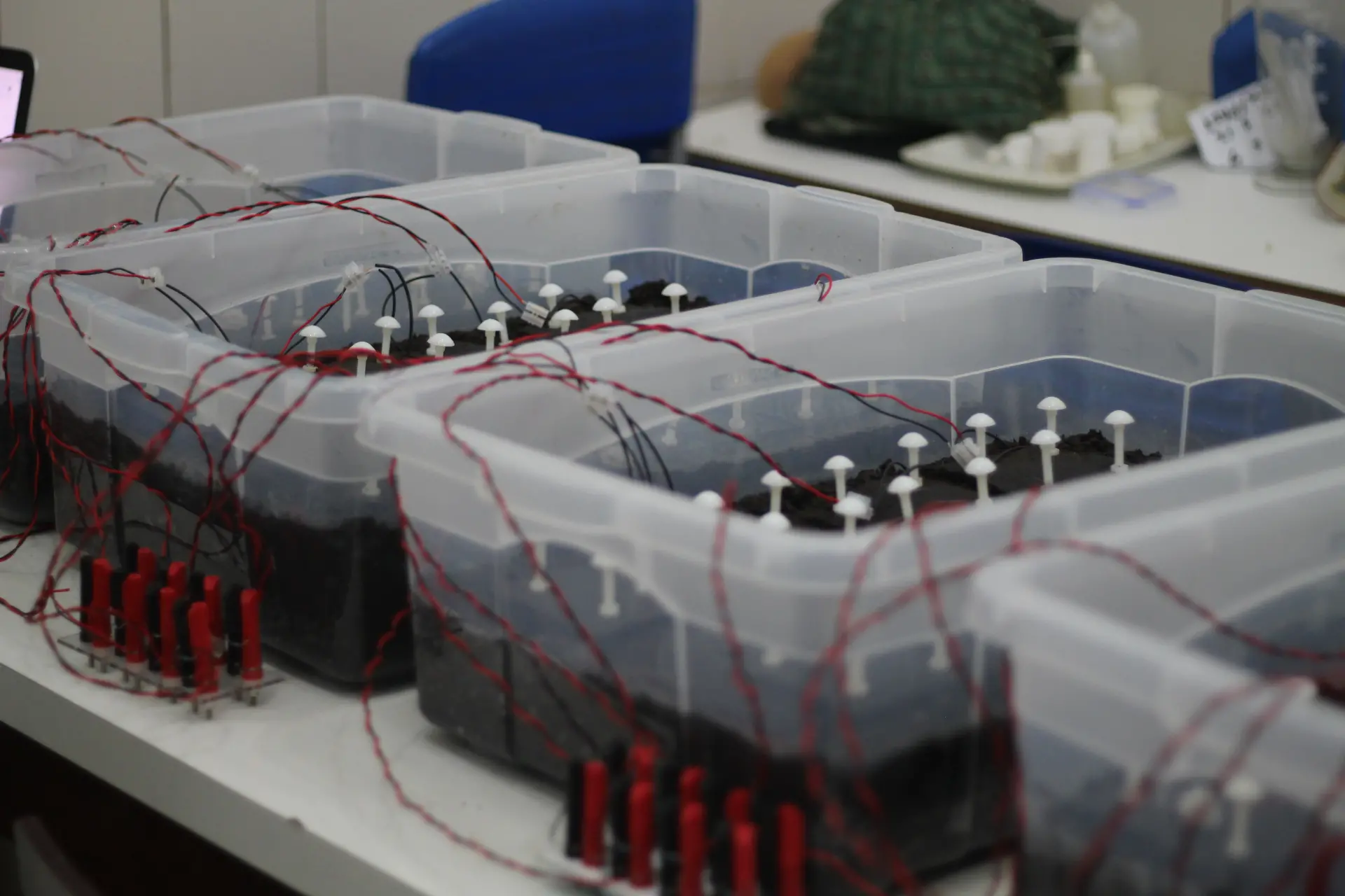 Foto mostra equipamento