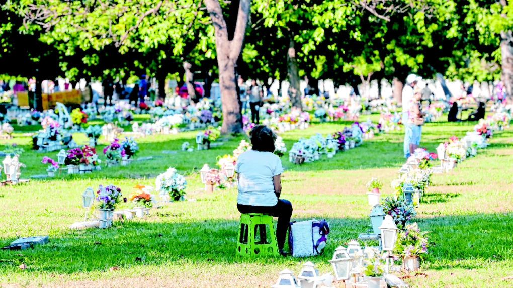 Imagem de mulher no túmulo de parente no Dia de Finados no Cemitério Parque da Paz