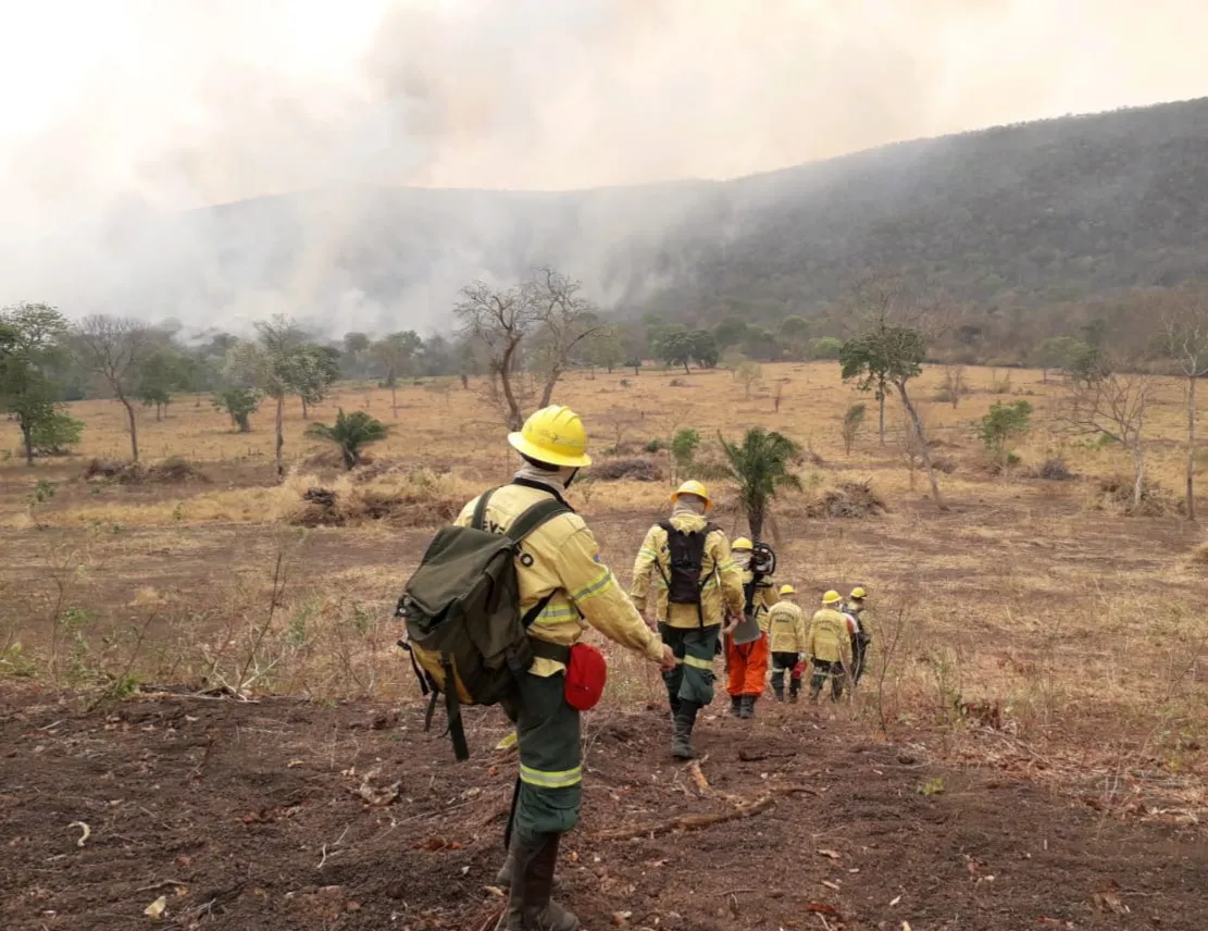 Cenários de fogo e destruição foram encontradas pelos brigadistas cearenses