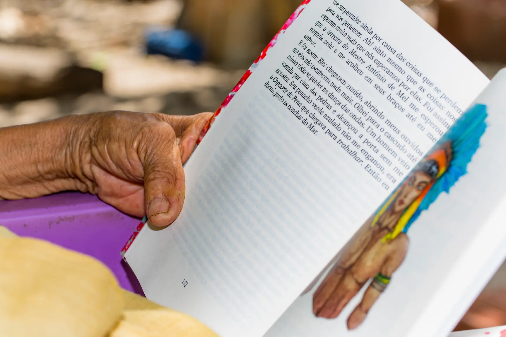 Livro A Mística dos Encantados