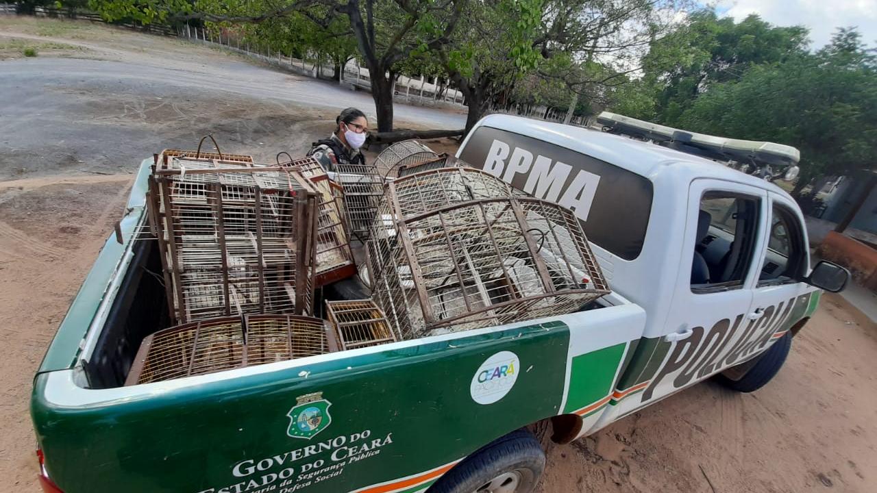 Foto do Olho dágua no quintal da casa de Papo de Fogo