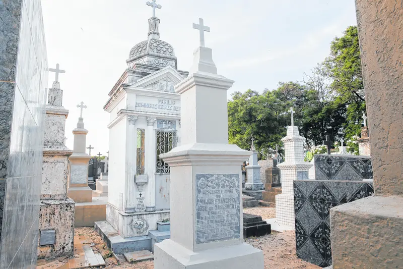 jazigo dragão do mar