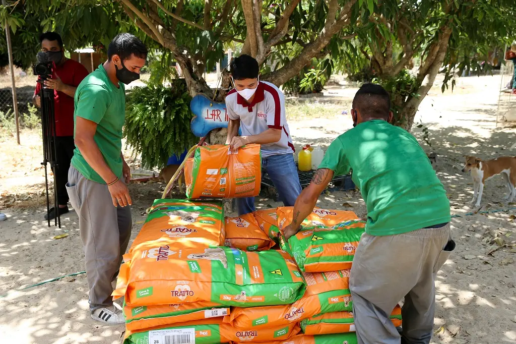 Ao todo, R$ 50 mil foram convertidos em 9 toneladas de rações da Tratto para 13 Organizações Não Governamentais (ONGs) de animais. - Foto: Natinho Rodrigues