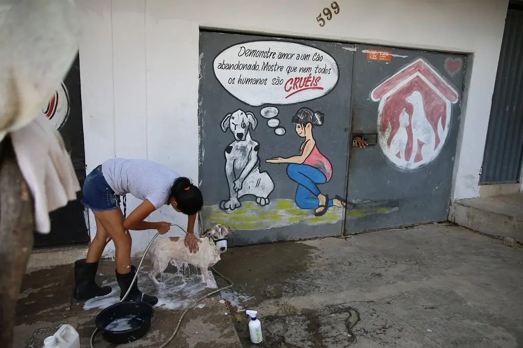 Ao todo, R$ 50 mil foram convertidos em 9 toneladas de rações da Tratto para 13 Organizações Não Governamentais (ONGs) de animais. - Foto: Natinho Rodrigues