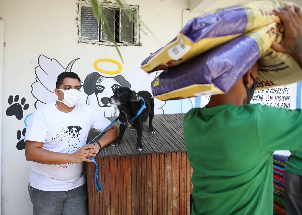 Ao todo, R$ 50 mil foram convertidos em 9 toneladas de rações da Tratto para 13 Organizações Não Governamentais (ONGs) de animais. - Foto: Natinho Rodrigues